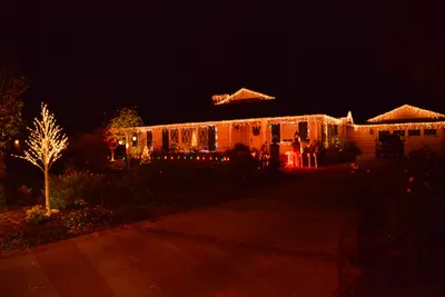 DSC_5767 (Large).JPG